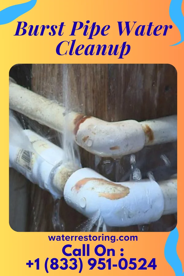 Burst Pipe Water Cleanup in Hunter, TN